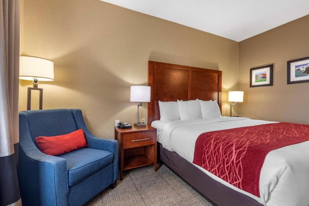 Comfort Inn Dfw Airport North Grapevine Eksteriør bilde