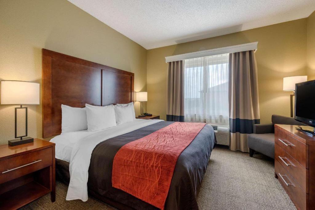 Comfort Inn Dfw Airport North Grapevine Eksteriør bilde