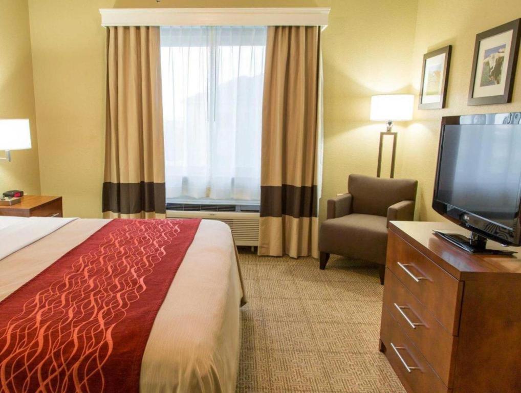 Comfort Inn Dfw Airport North Grapevine Eksteriør bilde