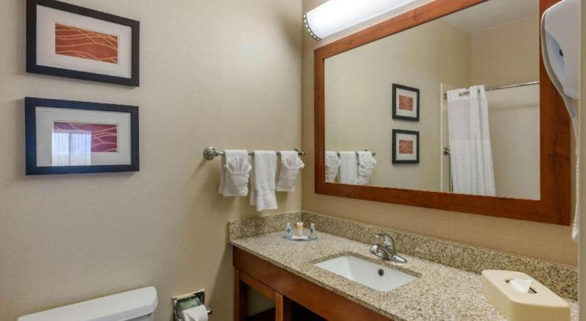 Comfort Inn Dfw Airport North Grapevine Eksteriør bilde