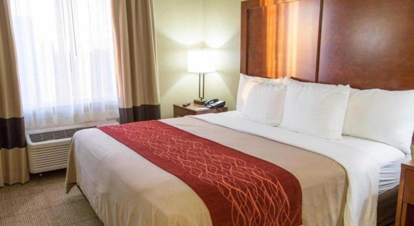 Comfort Inn Dfw Airport North Grapevine Eksteriør bilde